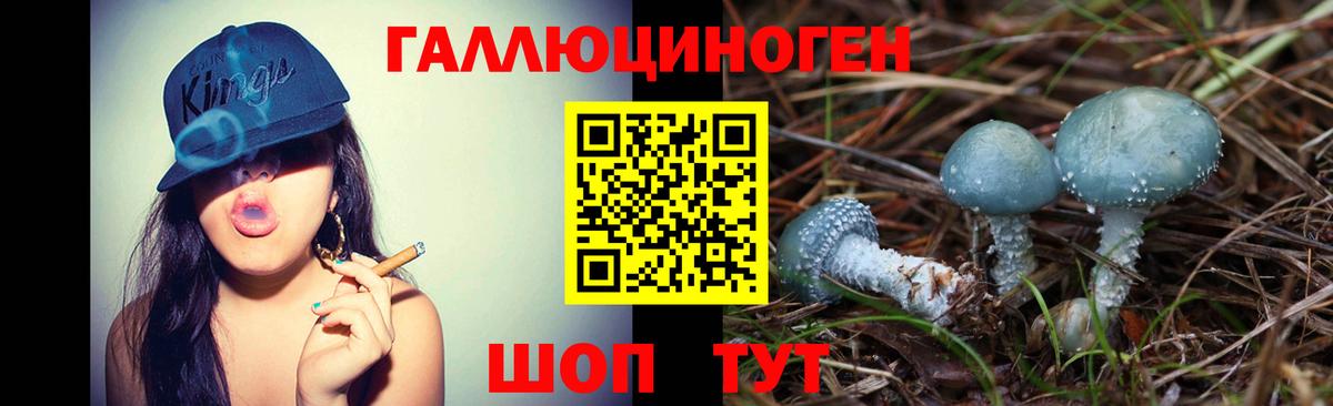 Галлюциногенные грибы Psilocybe  Псилоцибиновые грибы прущие грибы  Вход с VPN  Семёнов 